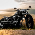 Harley Davidson