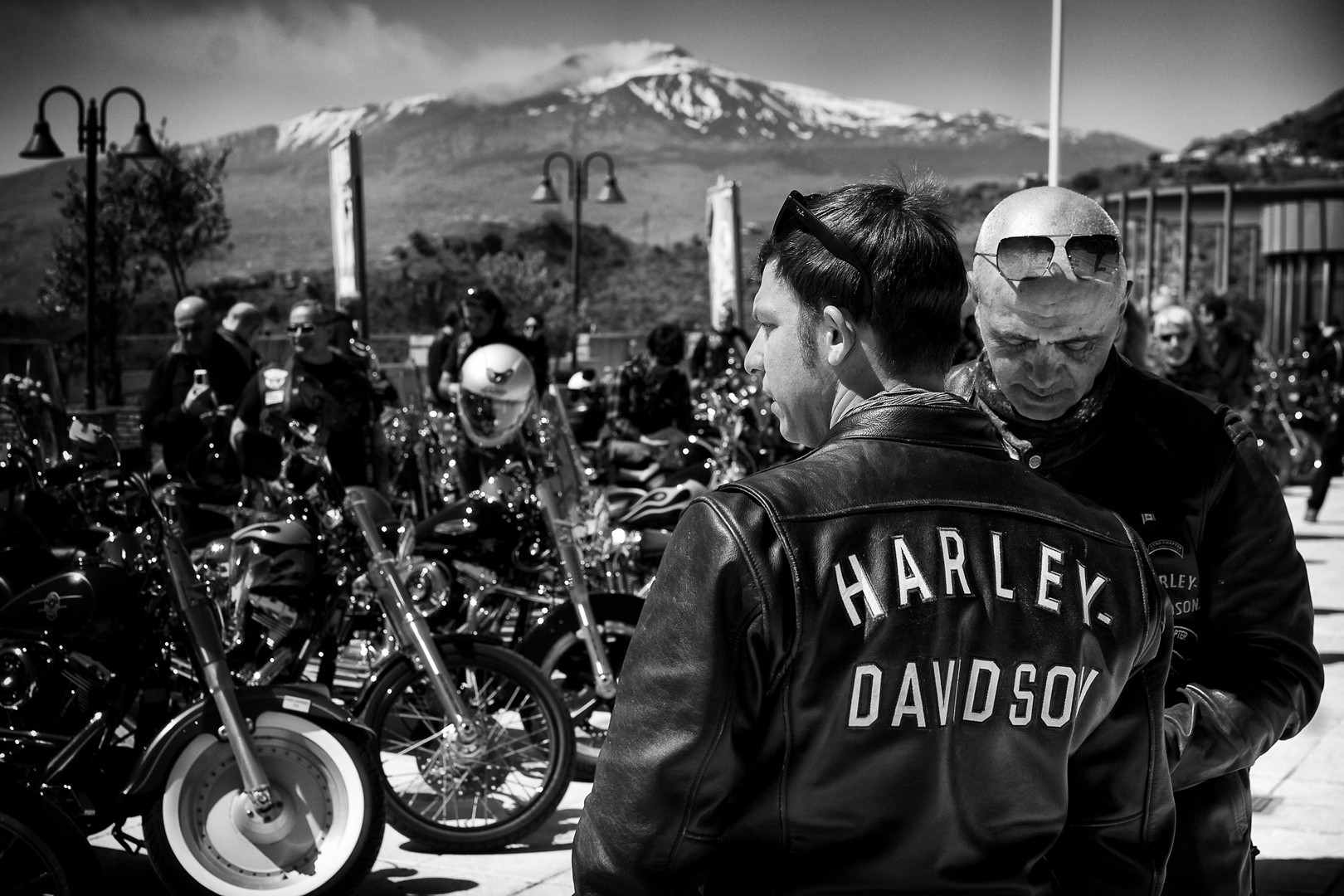 Harley Davidson