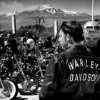 Harley Davidson