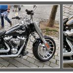 HARLEY DAVIDSON 