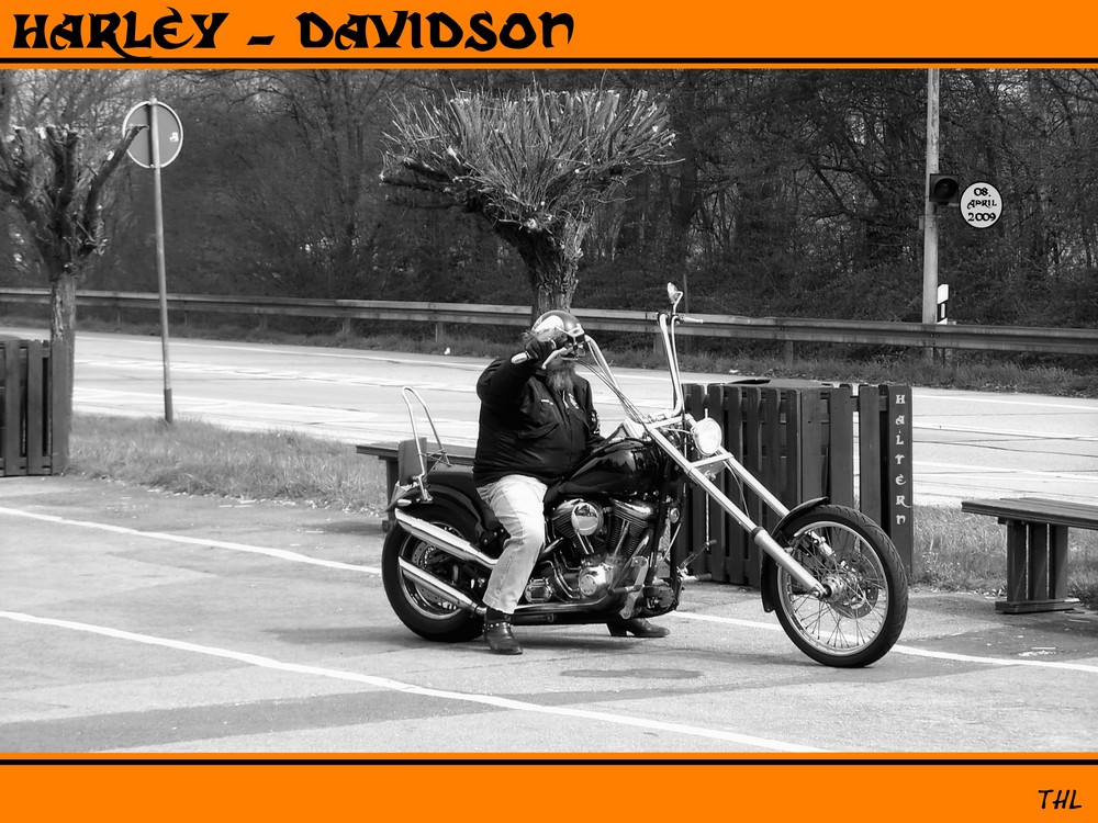 Harley-Davidson.........