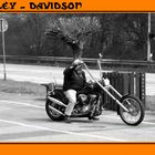 Harley-Davidson.........