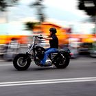 Harley Davidson