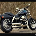 Harley Davidson Fat Bob