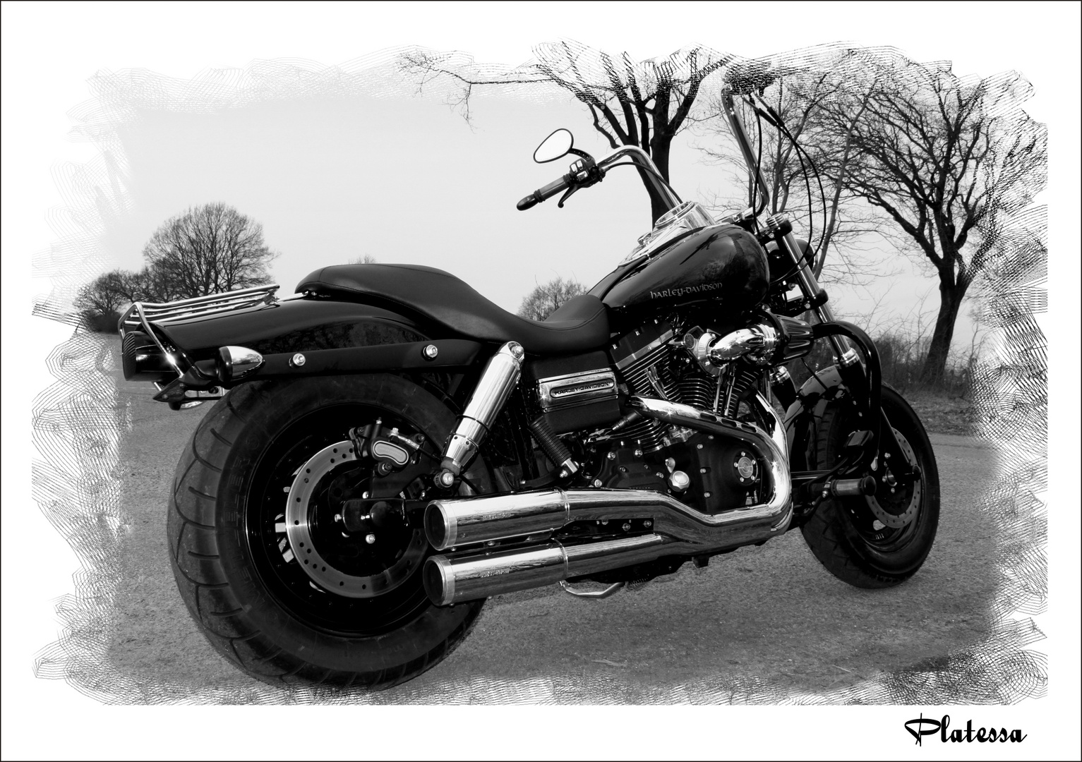 Harley Davidson /Fat Bob