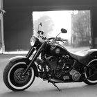 Harley Davidson Fat Boy