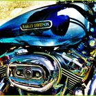 harley davidson hdr