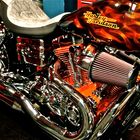 Harley Davidson Motor !!