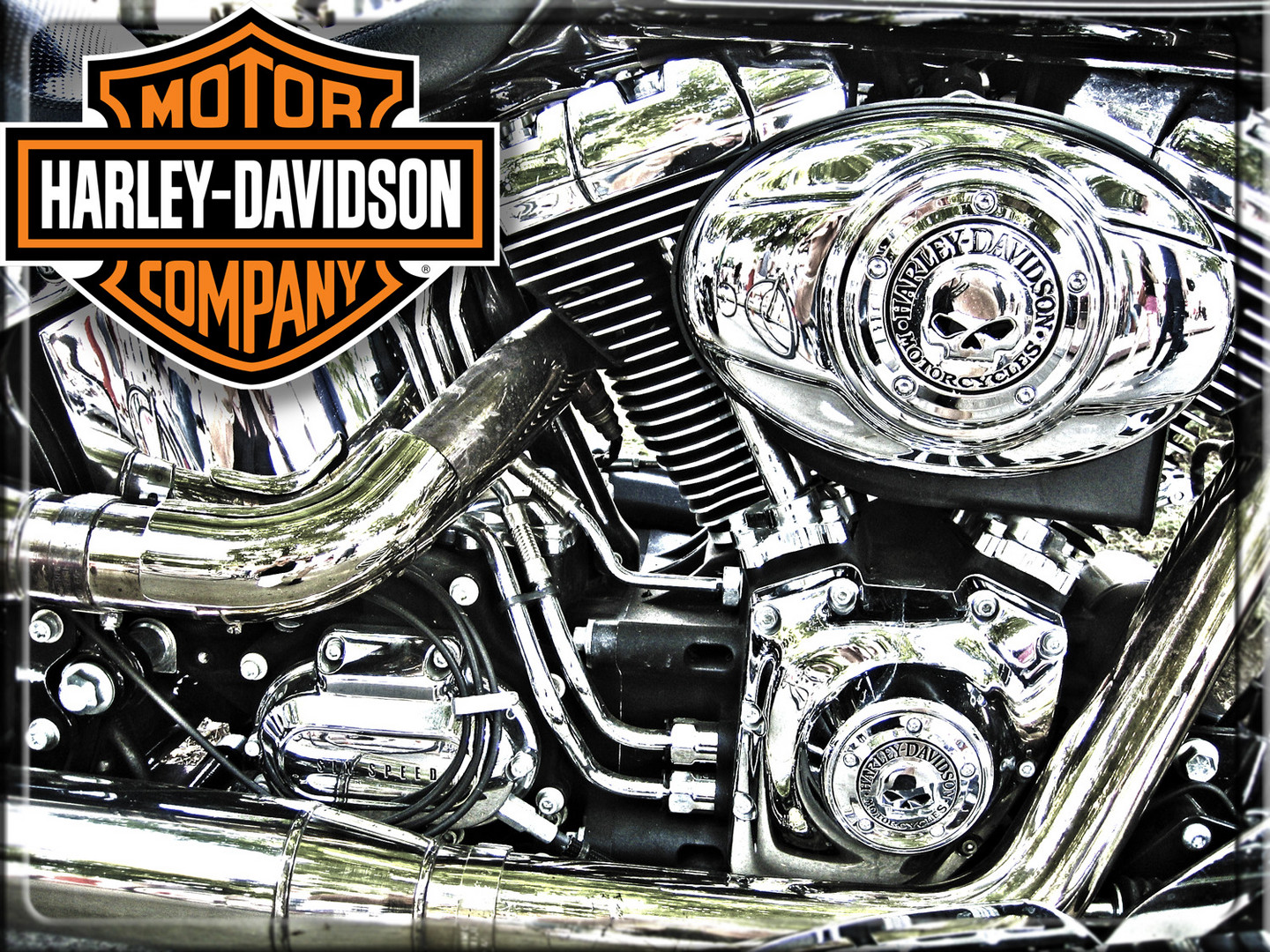 Harley Davidson Motorcycle