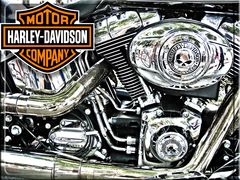 Harley Davidson Motorcycle