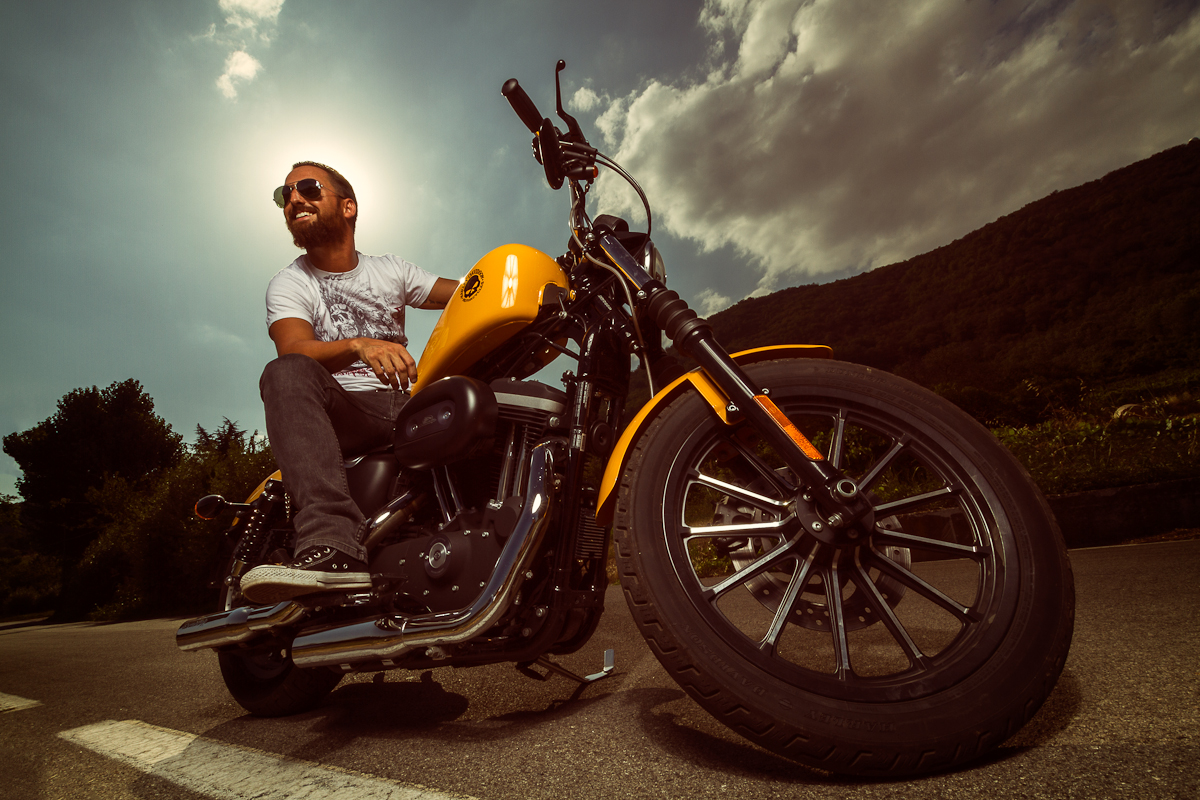 Harley Davidson - Portrait 2