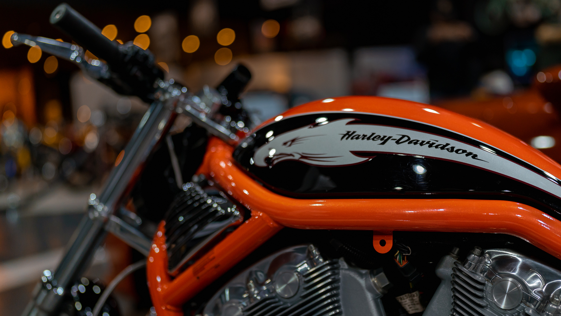 HARLEY-DAVIDSON Screamin’ Eagle