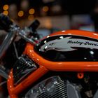 HARLEY-DAVIDSON Screamin’ Eagle