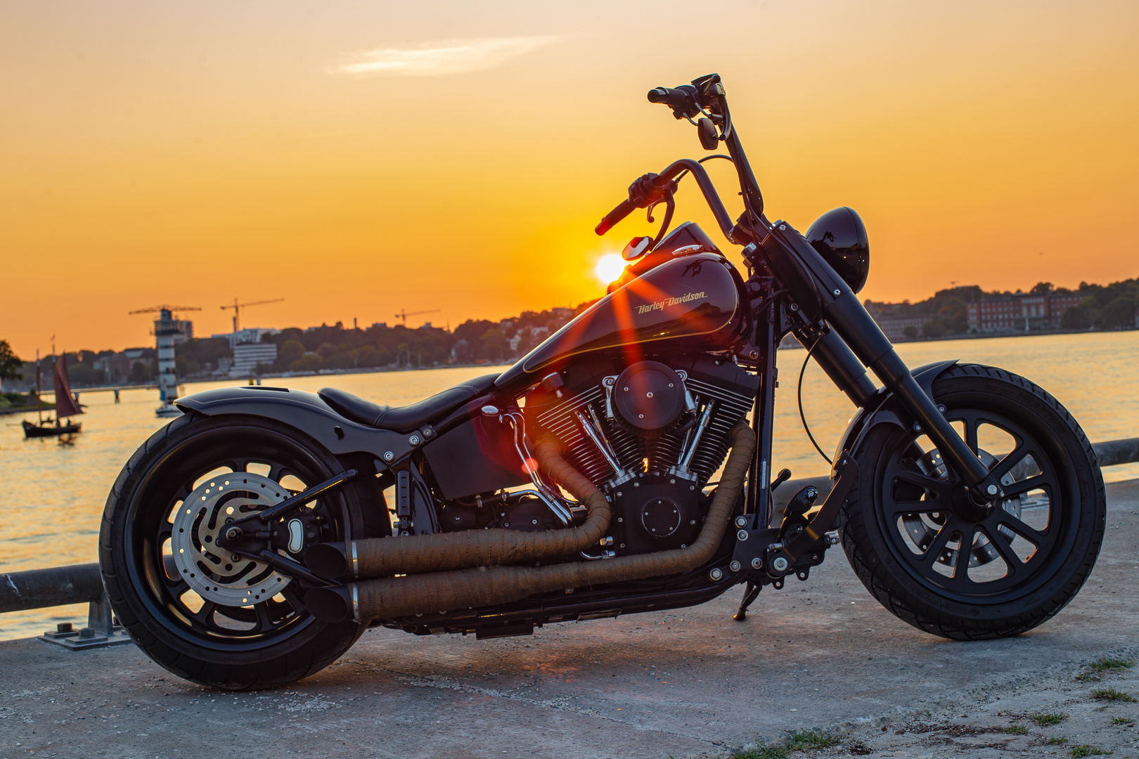 harley davidson softail