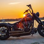 harley davidson softail