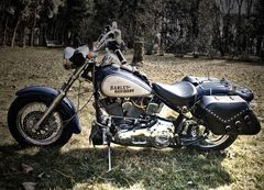 Harley Davidson Softail