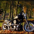 Harley Davidson Softail Night Train