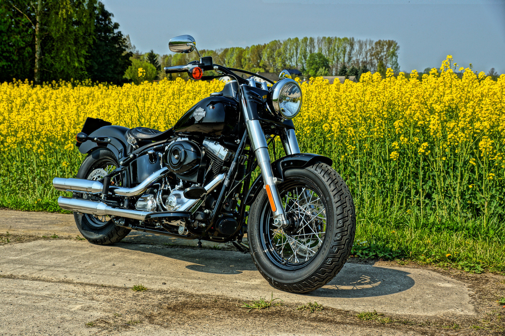 Harley Davidson Softail Slim 2014