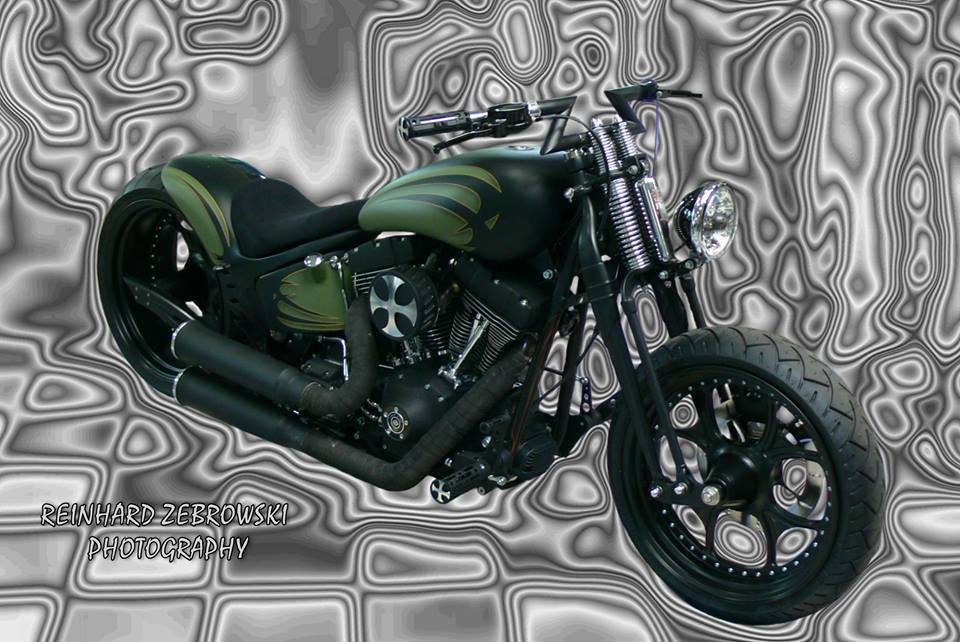 Harley Davidson Softail Verdigris