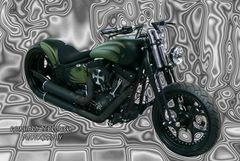 Harley Davidson Softail Verdigris