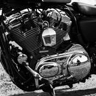 Harley Davidson Sportster