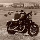 Harley Davidson Sportster 883 Iron