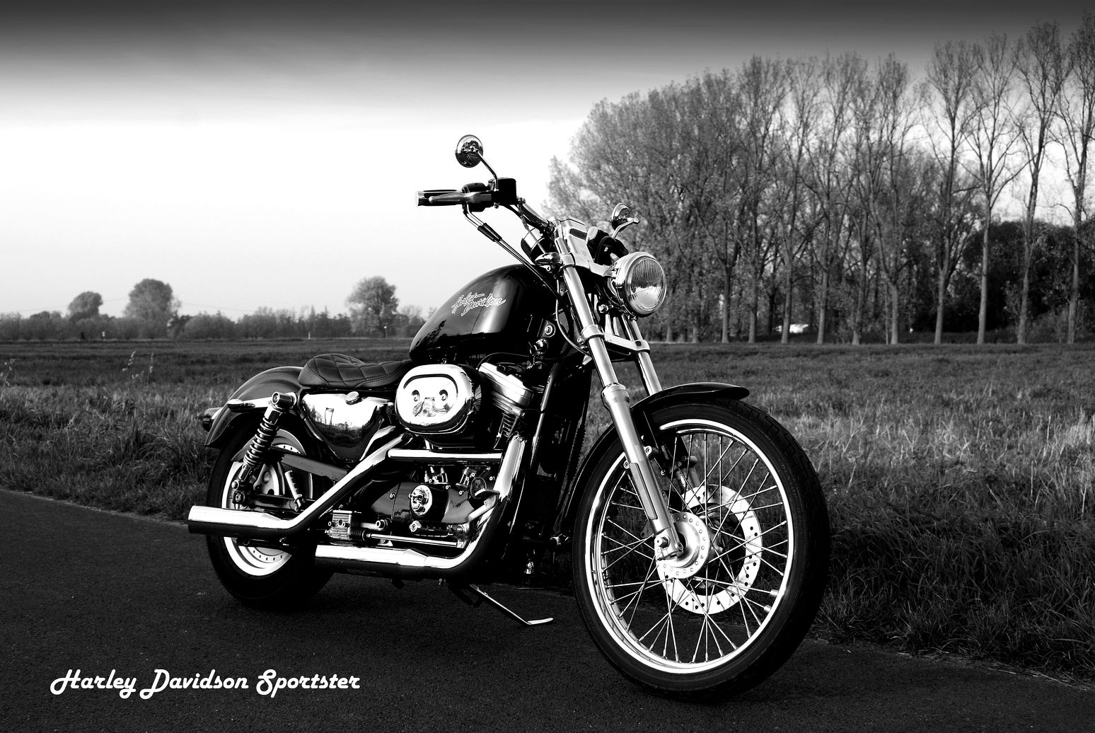 Harley Davidson Sportster 883 XL C von 2002