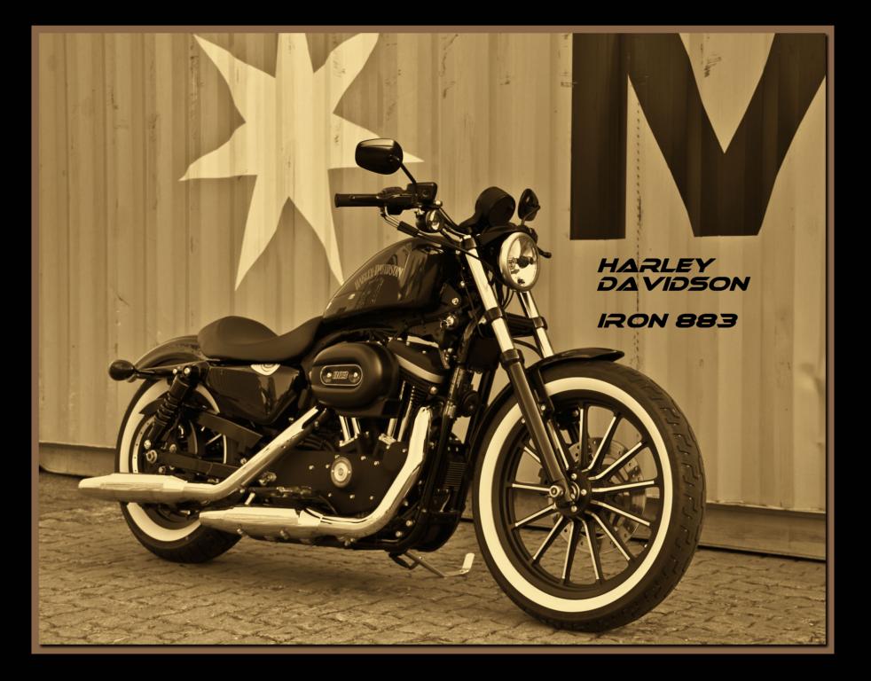 Harley Davidson Sportster IRON 883 2012