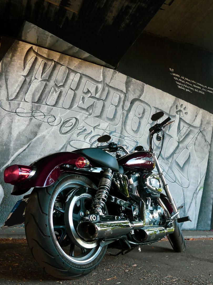 Harley Davidson Sportster Superlow