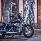 Harley Davidson Street Bob