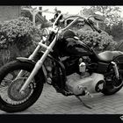 Harley Davidson Street Bob Dyna