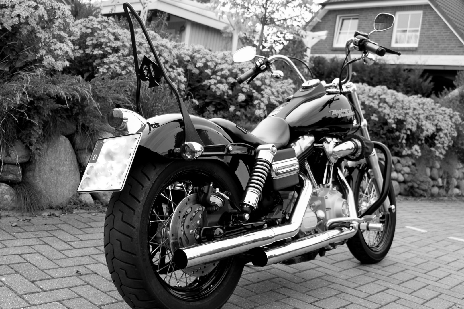 Harley Davidson Street Bob Dyna