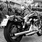 Harley Davidson Street Bob Dyna
