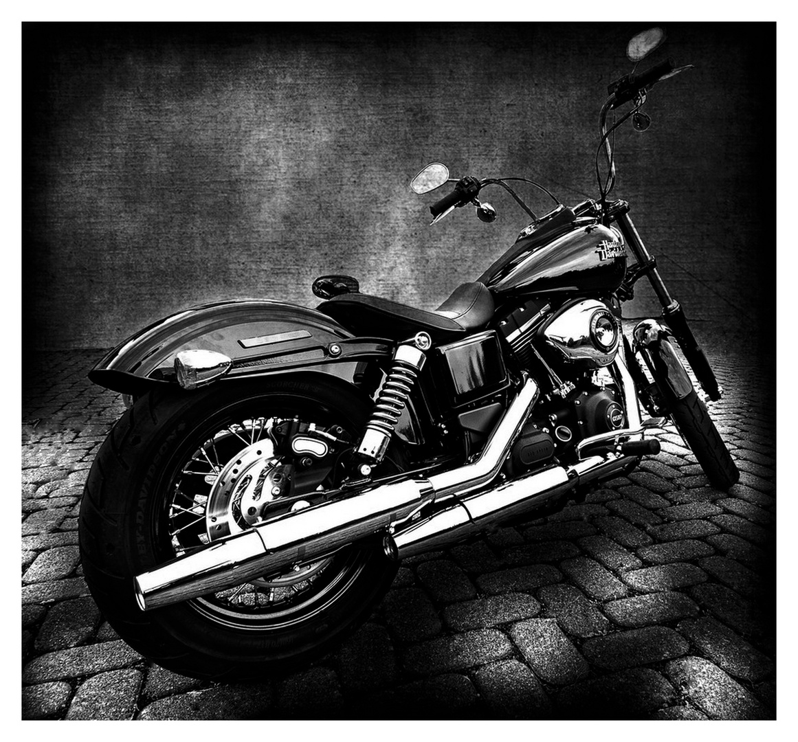 Harley Davidson SW