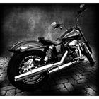 Harley Davidson SW