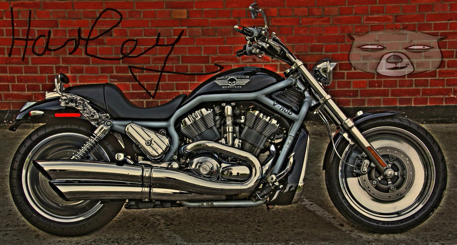 Harley Davidson V-Rod