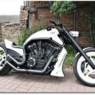 Harley Davidson - V ROD GT3