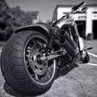 Harley Davidson V-Rod Muscle