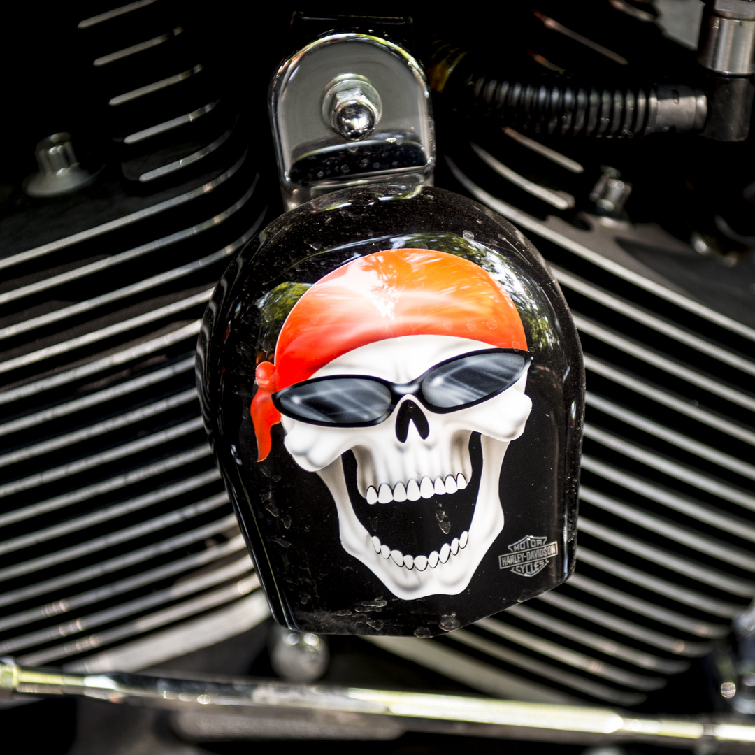 Harley Davidson Vienna 2015