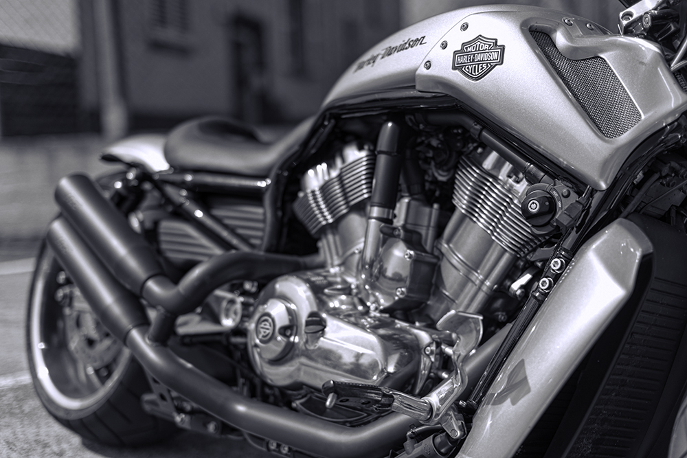Harley Davidson VRod Muscle
