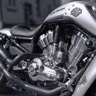 Harley Davidson VRod Muscle