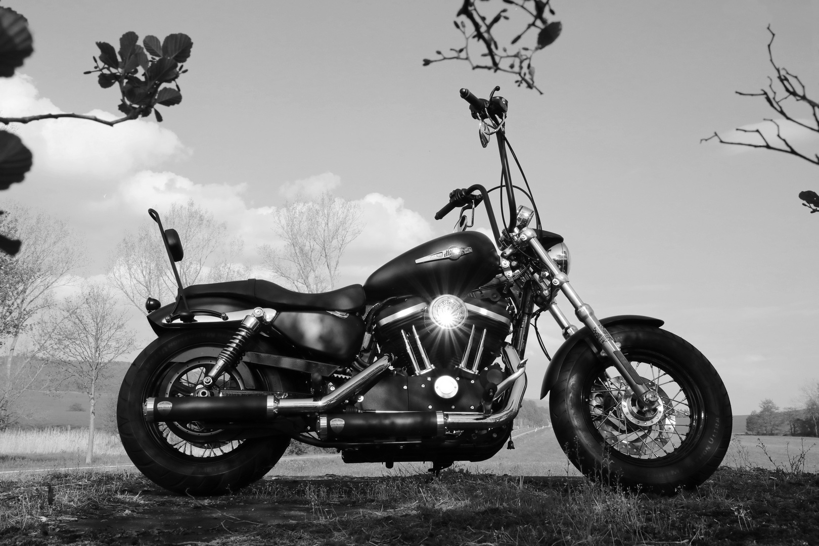 Harley Davidson XL 1200 CB