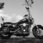 Harley Davidson XL 1200 CB