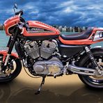 Harley Davidson XR1200 (Custom)