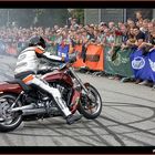 Harley Days 2009 at Hamburg Volkspark