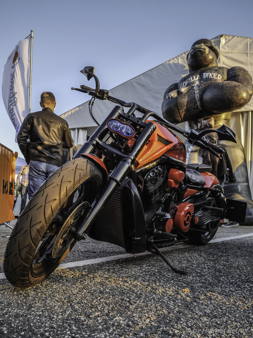 Harley Days 2019 - Gorilla Biker