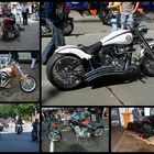  Harley Days