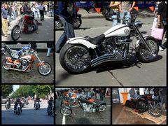  Harley Days