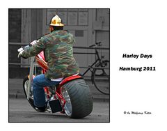 Harley Days