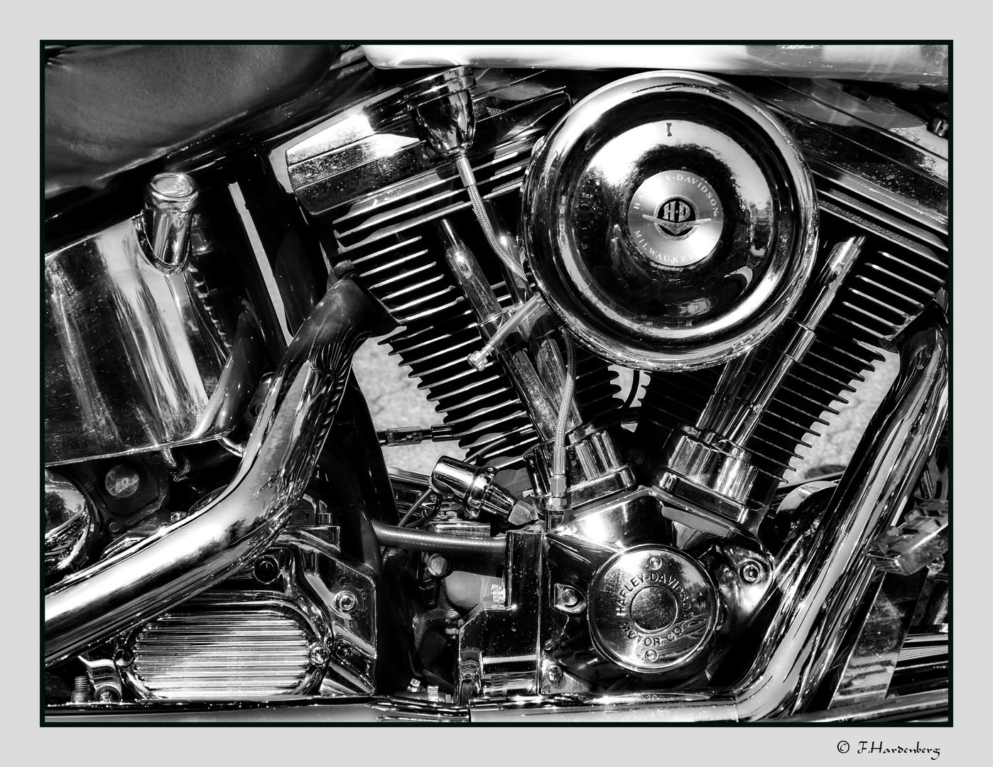 Harley Detail 2